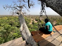 Senegal a Gambie - ze savan do pouště