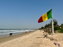 Senegal a Gambie - ze savan do pouště