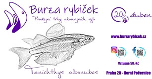 Burza rybiček - Praha Horní Počernice - Leden 2024