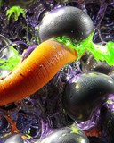 Ausfahrt w/ st.grimes [IT]