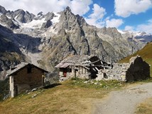 Tour de Mont Blanc na divoko