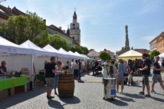 30. Slavnosti chřestu a vína v Ivančicích