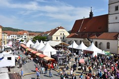 30. Slavnosti chřestu a vína v Ivančicích