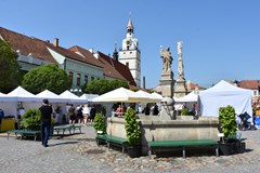 30. Slavnosti chřestu a vína v Ivančicích