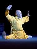 Shaolin show live