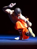 Shaolin show live