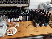 MasterClass Ryzlink Rýnský & Pinot Noir