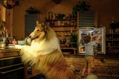 Lassie: Nové dobrodružství