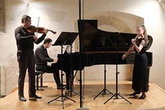 Kulturní léto na Bítově 2024 - TRIO brněnské filharmonie