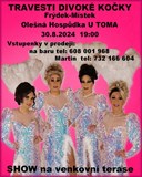 travesti Divoké kočky na Olešné