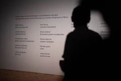 Prohlídka výstav Beyond the Sound a Zvukové krajiny Brna