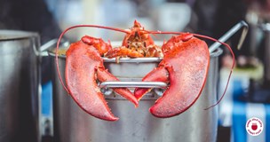 Dobré jídlo Světa Street food piknik zámek Kačina