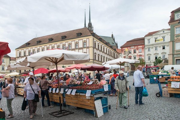 Zelný trh