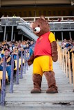 FK Dukla Praha - FC Viktoria Plzeň
