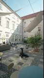 NoirCarneval - Summer Edition 