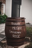 Vinobraní 2024, posezení u burčáku, Čejkovice