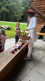 Pohádkový les