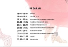I. reprezentační ples NO FOOT NO STRESS