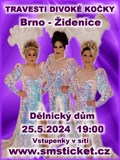 Travesti Divoké kočky v Brně