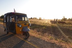 Tomík na cestách: Africká jízda