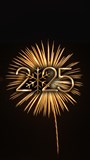 Silvestr: Ride Balbi to Pulse22