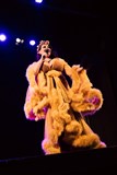ZuZu Kabaret v Back Doors