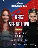 TATAMY 14: BEATDOWN