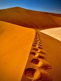 AFRIKOU z Austrálie do Evropy – vlastním obytňákem