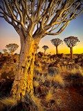 AFRIKOU z Austrálie do Evropy – vlastním obytňákem