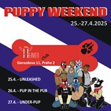 Puppy Weekend