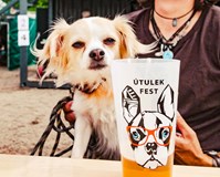 Útulek fest 2025