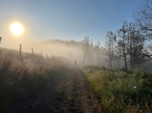 VŠECHNY CESTY VEDOU DO SANTIAGA 