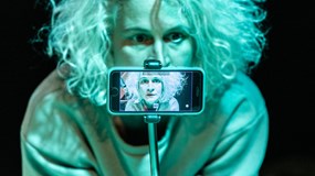 Endemité: Příběhy mizení – A studio Rubín