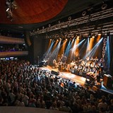Groove Brno 2025