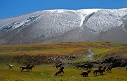 Kyrgyzstán
