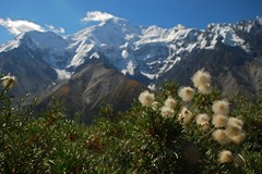 Kyrgyzstán
