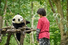 Panda a já - KINO ZA VYSVĚDČENÍ