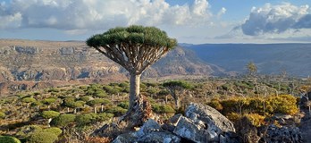 Socotra - ostrov na který sa nezabúda