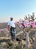 Socotra - ostrov na který sa nezabúda