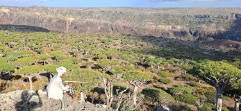 Socotra - ostrov na který sa nezabúda
