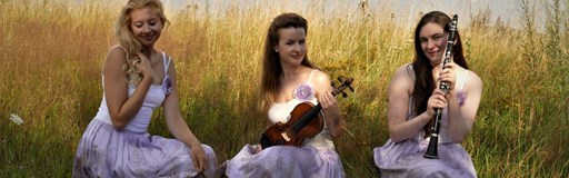 KONCERT MUCHA TRIO