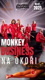 Monkey Business - Když múzy mlčí tour 2025