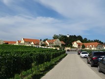 Vinařství U Kapličky, Zaječí