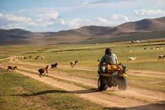 Trojkolkou do Mongolska - Letní kino