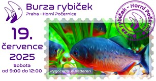 Burza rybiček - Praha (Horní Počernice) - Červenec 2025
