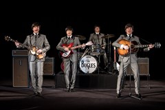 The Beatles ve Veltrusích (The Bugles)