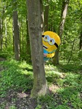 Märchenpfad im Wald / WELS