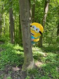 Märchenpfad im Wald / STEYR