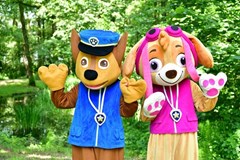 Märchenpfad im Wald / LINZ