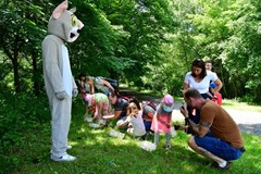 Märchenpfad im Wald / LINZ
